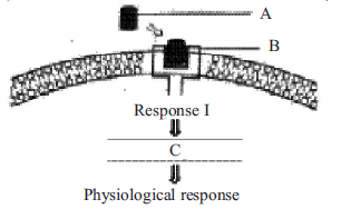 Chemical Coordination and Integration mcq question image